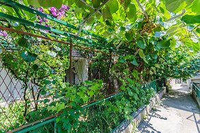 Apartment and Rooms Ivan