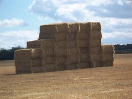 Bridge Farm Holiday Cottages