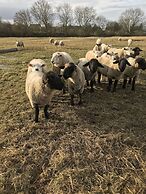 Bridge Farm Holiday Cottages