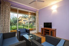 Serenity by The Origami Collection