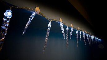 Apartment Four Year Seasons