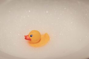 The New Inn - Yealand