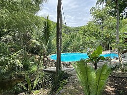 Aqua Ceiba