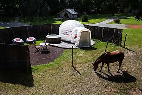 Hébergements Insolites Domaine Arvor SPA