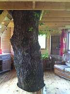 Hébergements Insolites Domaine Arvor SPA