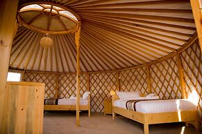 Terelj Star Resort - Campsite