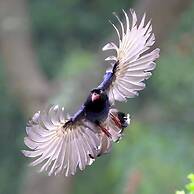 Lohas Gallery Long Stay Hostel