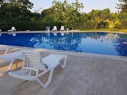 Sapanca Villa Natura Gol Evi