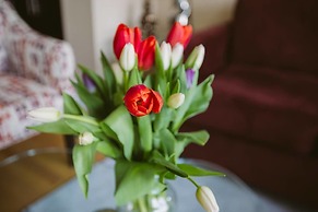 Executive Condo in the Heart of Downtown