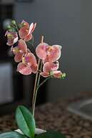 Luxurious 2-bedroom Condo