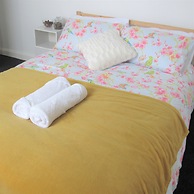 Spacious Flat Fenham