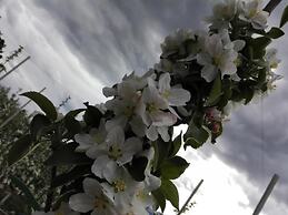 Agriturismo NonSoloMele