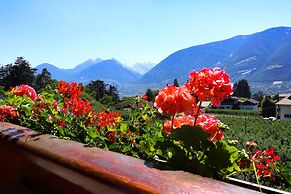 Guesthouse Pension Grafenstein