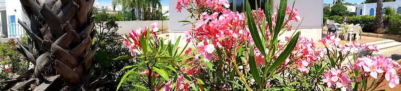 Gallipoli Villa Lucrezia