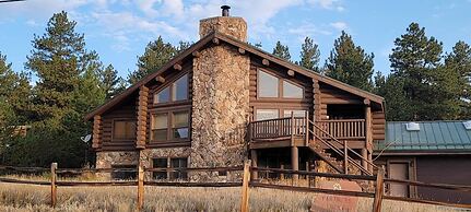 Black Tree Resort