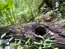 Ba Be Lakeside Bungalow