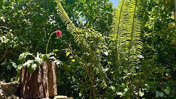 Ba Be Lakeside Bungalow