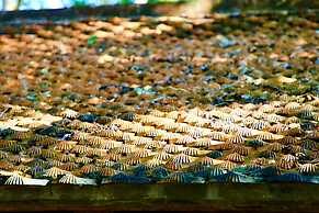 Ba Be Lakeside Bungalow