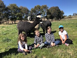 High Country Trail Rides & Farm Stay