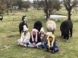 High Country Trail Rides & Farm Stay