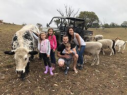 High Country Trail Rides & Farm Stay