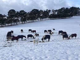High Country Trail Rides & Farm Stay