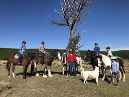 High Country Trail Rides & Farm Stay