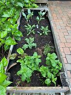 Tropical Villas of Venice Beach