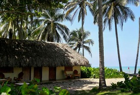 Cabañas Frente a la Playa IV