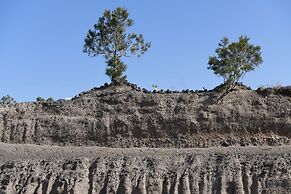 Starlight Luxury Seaside Villa & Suites