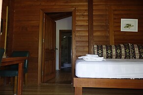 Sakin Vadi Winehouse