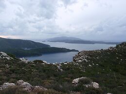 Sakin Vadi Winehouse