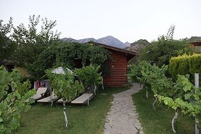 Sakin Vadi Winehouse