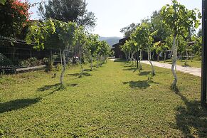 Sakin Vadi Winehouse