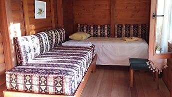 Sakin Vadi Winehouse