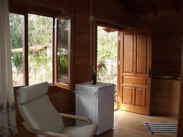 Sakin Vadi Winehouse