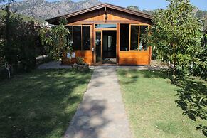 Sakin Vadi Winehouse