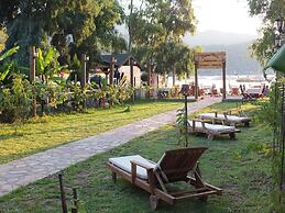 Sakin Vadi Winehouse