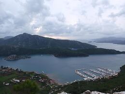 Sakin Vadi Winehouse