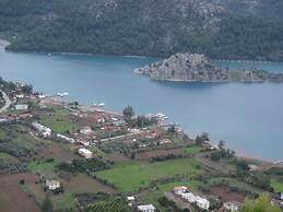 Sakin Vadi Winehouse