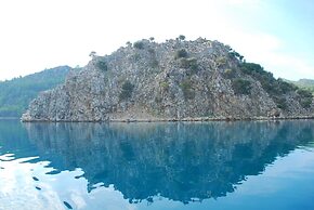 Sakin Vadi Winehouse