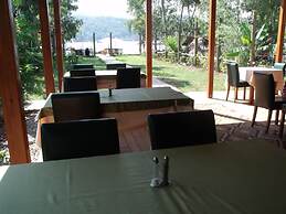 Sakin Vadi Winehouse