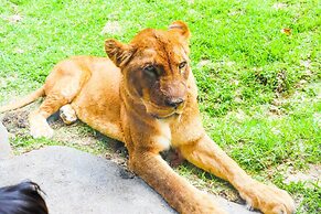 Hotel Upi – Condominium Mihama