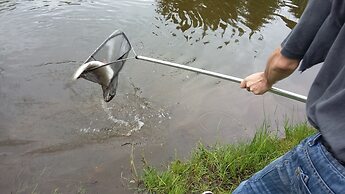 Camping de Fléchat