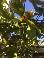 Guest house daisho oshiro asobi