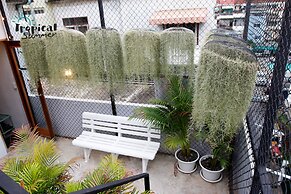 Tropical Summer Hostel