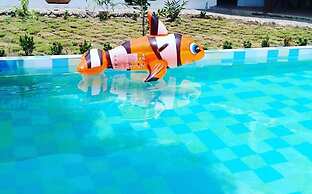 Palomino Hostel by T2L