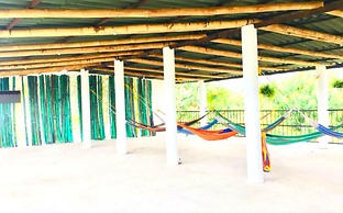 Palomino Hostel by T2L