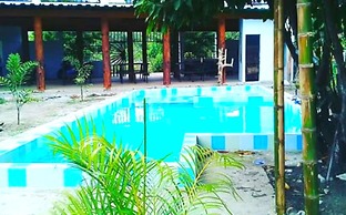 Palomino Hostel by T2L