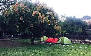 Palomino Hostel by T2L